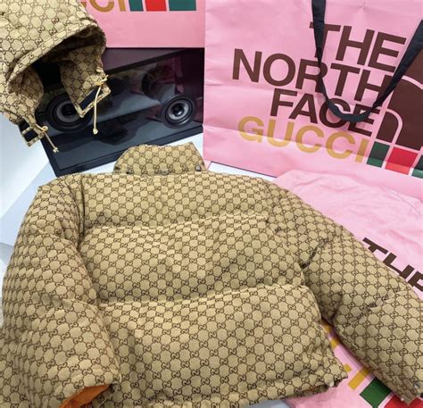 shop north face gucci